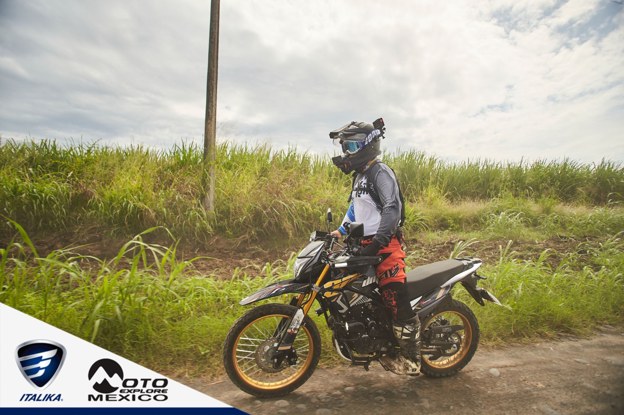 ITALIKA CHACHALACAS D2 42